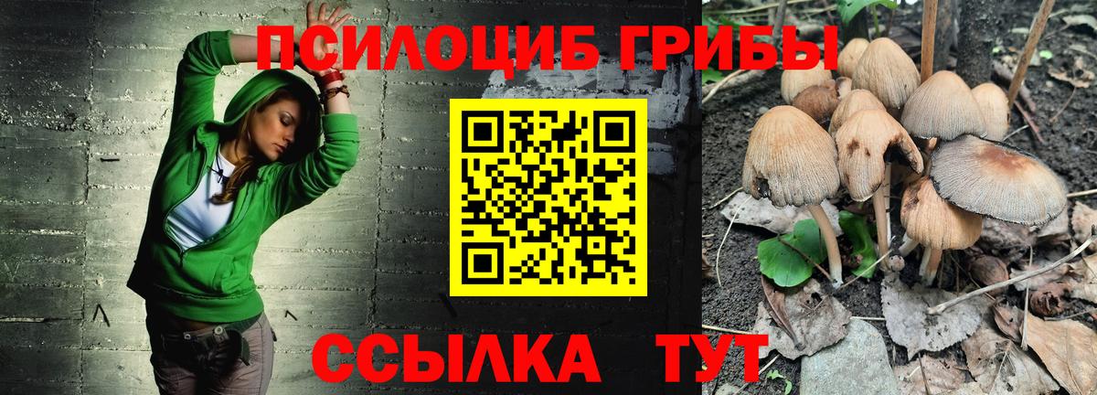Псилоцибиновые грибы Cubensis  где можно купить   Избербаш  Вход с VPN 
